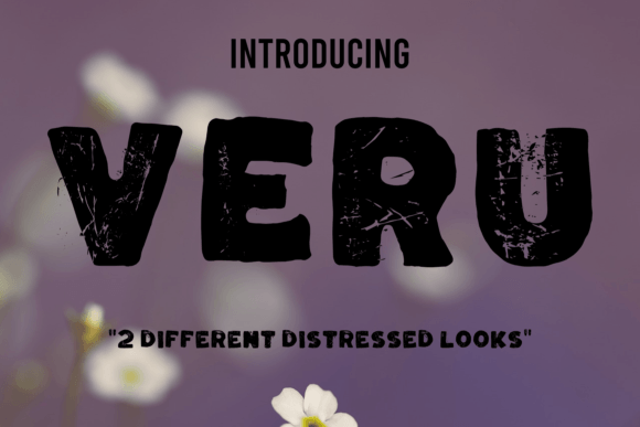 Veru: A Unique Font Blending Uniformity and Variety